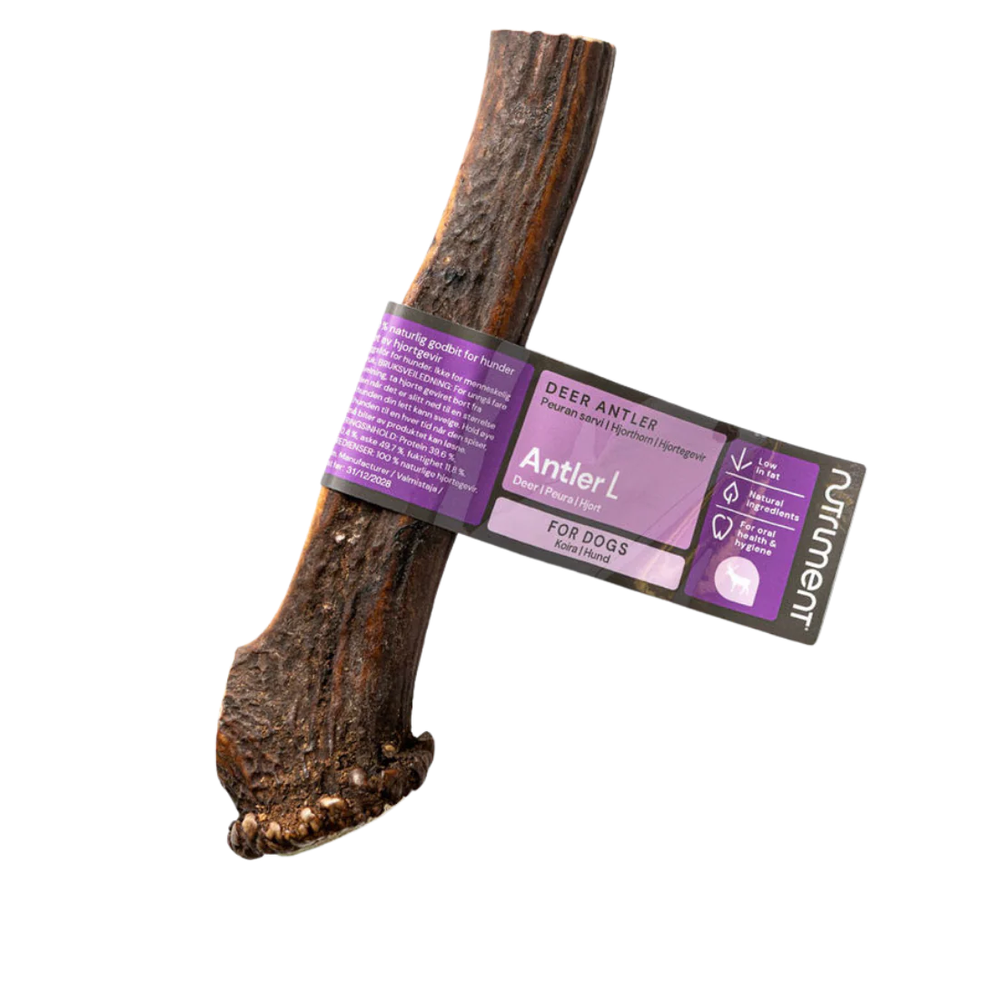 Pikkukuva 1